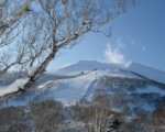 Grand Hirafu Bluebird day on the slopes