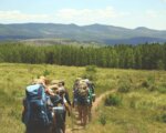 Group Hike Summer