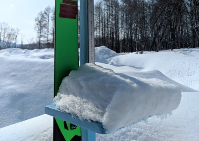 12cm Snow April