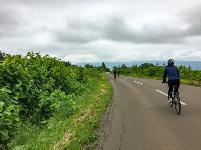 Bike Bicycle Cycling Cycle With Rhythm Japan Cloudy Day Summer June 2016 5