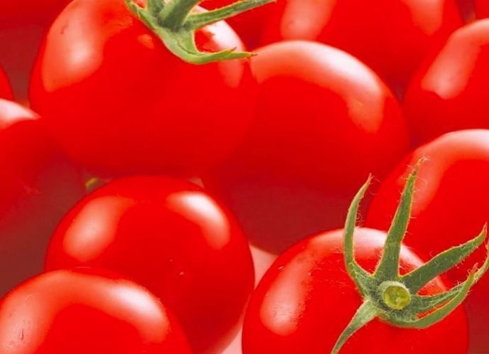 Cindy Sweet Tomato