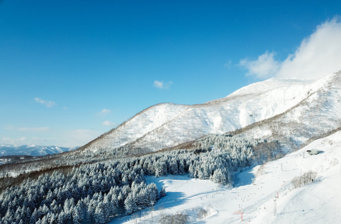 Drone Blue Skies Winter Trees 01 11 18 2
