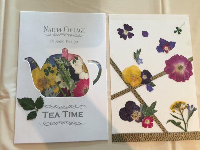 Botanic Art Workshop postcard 1