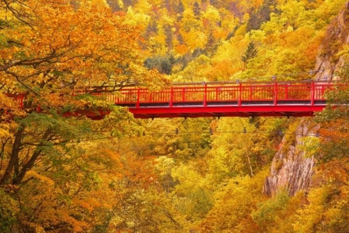Jozankei Autumn Leaves