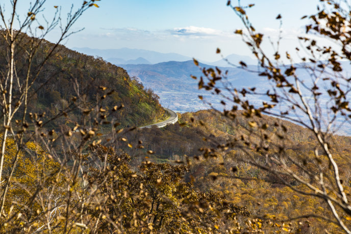 Panorama Line 8