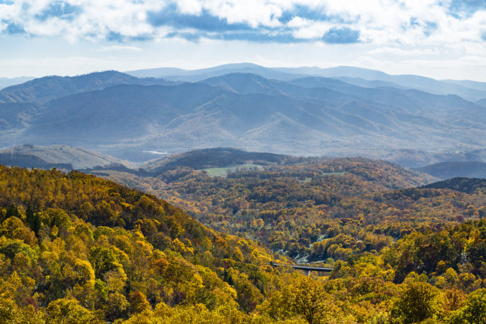 Panorama Line In Autumn 2