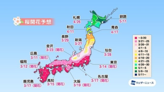 Sakuraー Forecast2021