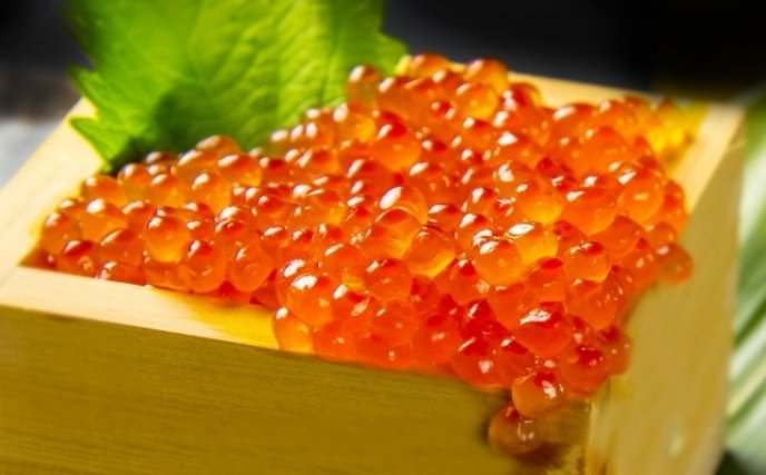 Salmon Roe