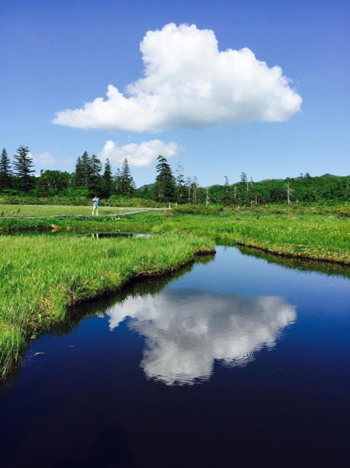 Shinsen Numa Marsh Swamp Wetland Summer Sunny Water Reflection
