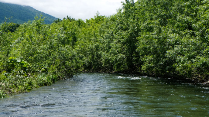 Shiribetsu River 1