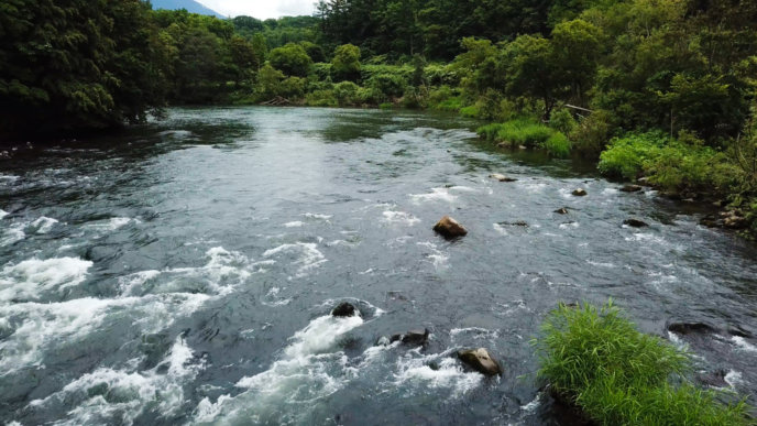 Shiribetsu River 4