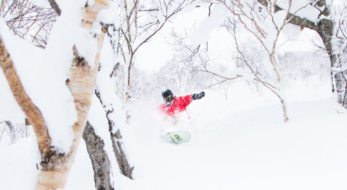 Snowboard Pow 12 29 17