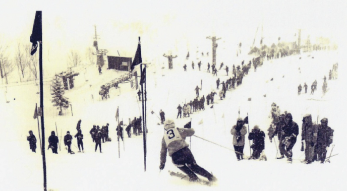 Alpine Race Niseko