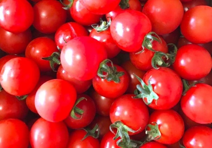 Aruru Tomato