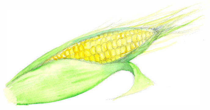 Corns