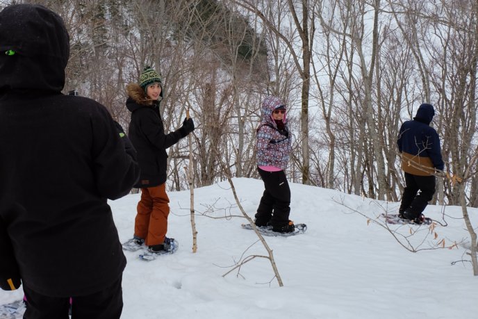 Edit Snow Shoeing 6