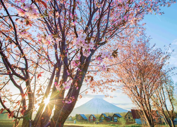 Hirafu2