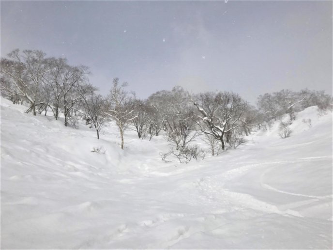 March 9 Powder Fresh Tracks By Acme