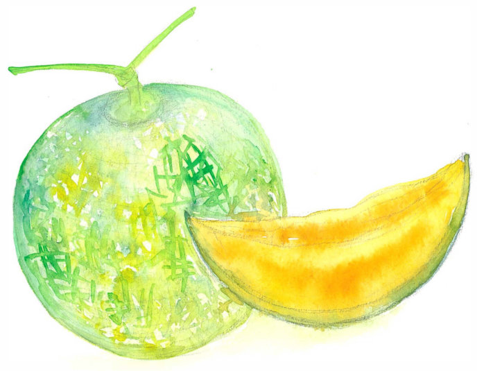 Melon