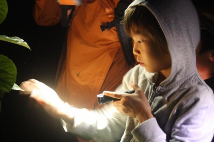 night-trekking
