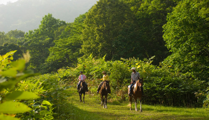 Horse riding, Niseko Village