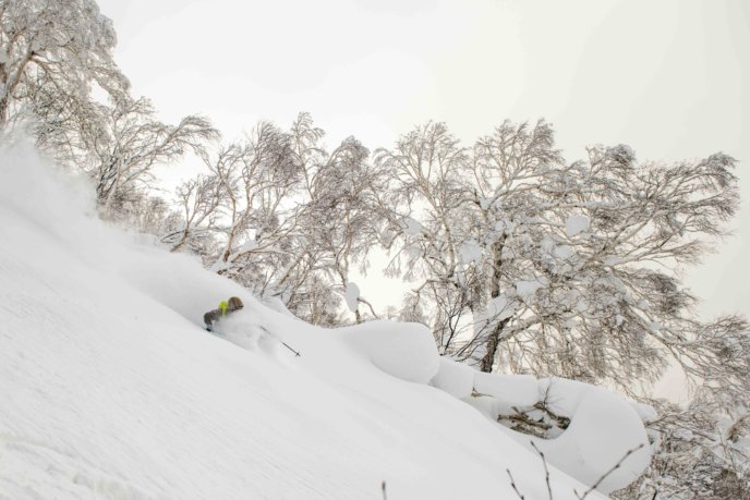 Nordica Lr 080