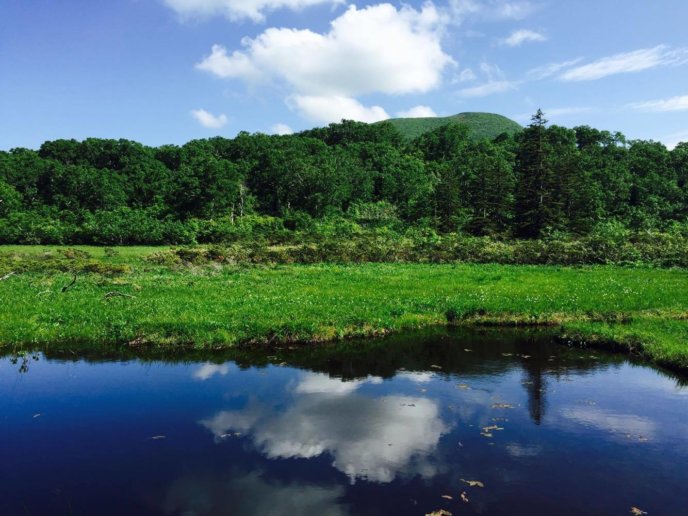 Shinsen Numa June 30 2016 Summer Blue Sky Green Trees Mirror Marsh