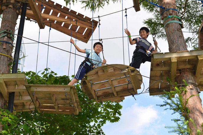 tree-trekking-nv