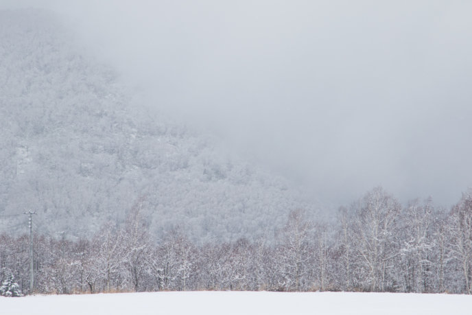 Winter Snow 11
