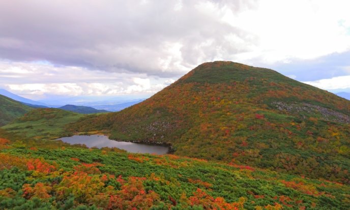 Yama Shakunage