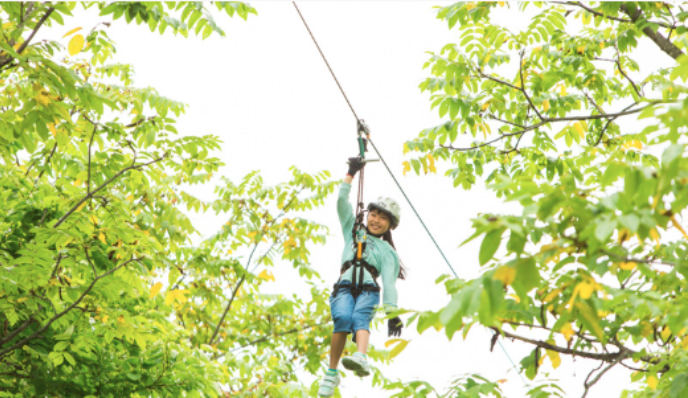 Zipline