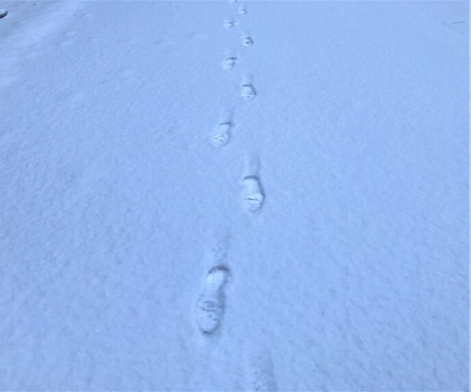 2017 March 28 Snowfall In Kutchan Towns Fresh Tracks In The Spring Snow