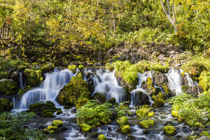 Fukidashi Park Springs 3