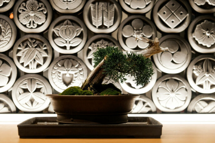 Kumo Restaurant Bonsai