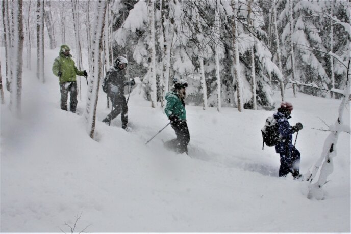 Nac Snowshoeing Niseko Day Time Snowshoe 29 Edit