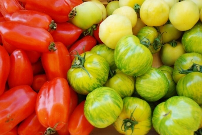 Niseko Green Farm Tomatoes