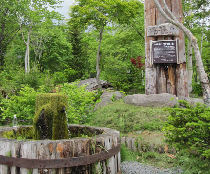 Niseko Sakamoto Park Spring Water 3