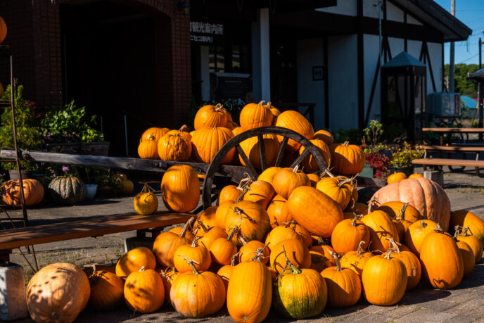 Niseko Station Pumpkins Lr 5697