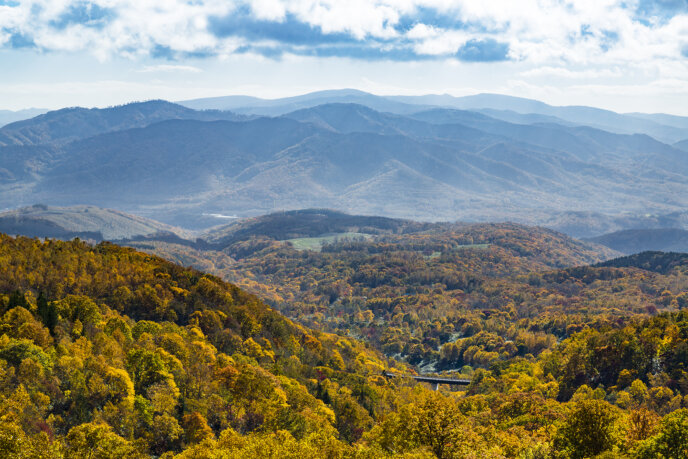 Panorama Line In Autumn 2