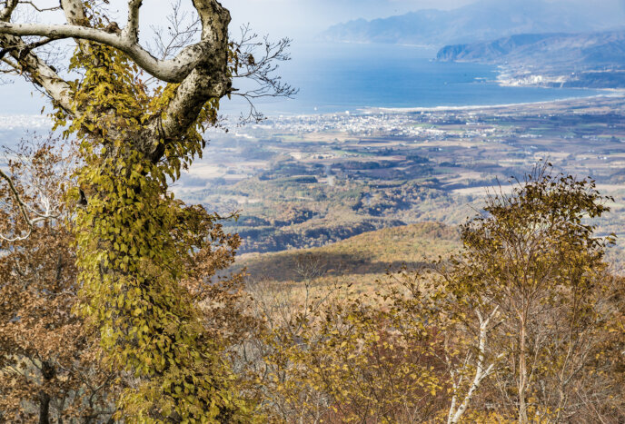 Panorama Line In With Iwanai In Background