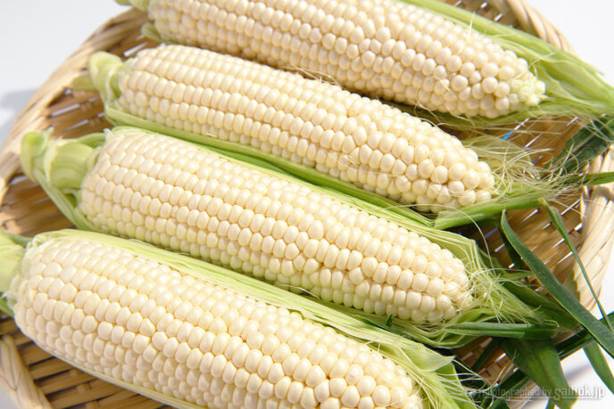 Sweetcorn