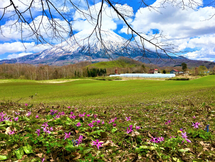 Beautiful Scenery Of Niseko Spring 2017 1