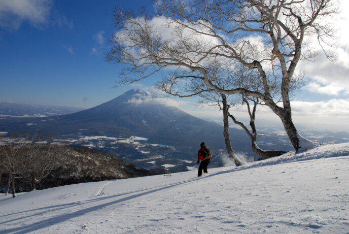 Blue Bird Niseko Spring Sky Skiing Yotei