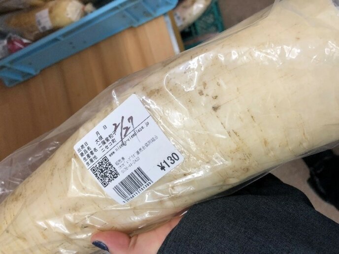 Intern Blog Daikon