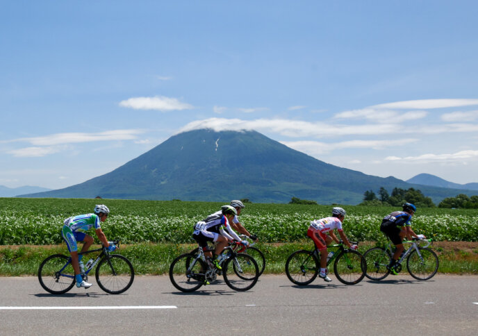 niseko-classic-thumb