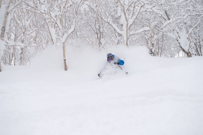 niseko-powder-vinnie