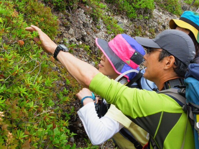 Ryuta Furuichi Guiding Coyote