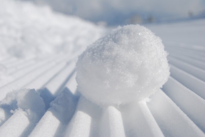 Snowball On The Groomers Spring