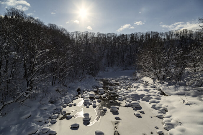 Winter Niseko Snow Mushrooms On The River