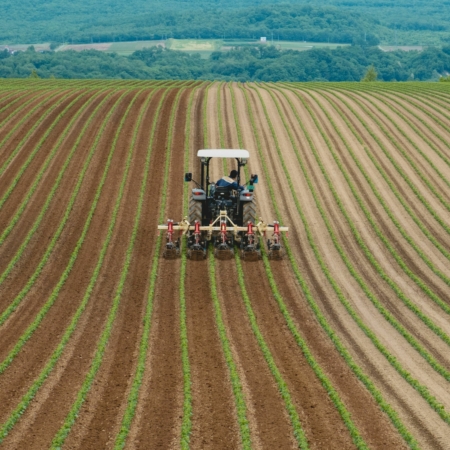 Harvest Season: Celebrating Niseko’s Famous Potatoes